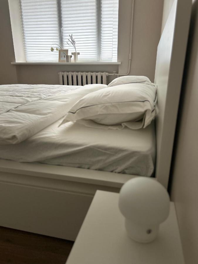 Skandi Appartments In Saldus City Center Εξωτερικό φωτογραφία
