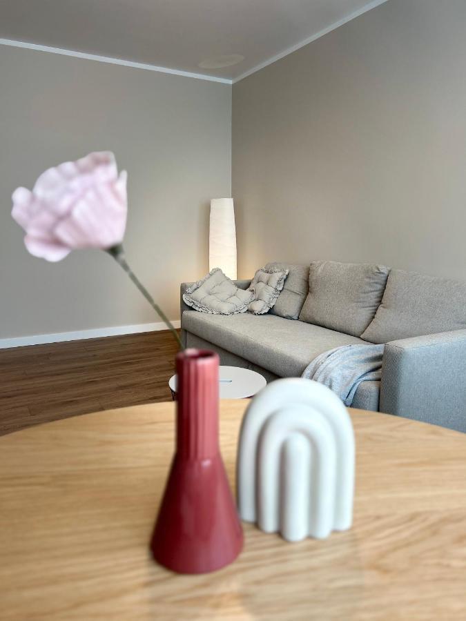 Skandi Appartments In Saldus City Center Εξωτερικό φωτογραφία